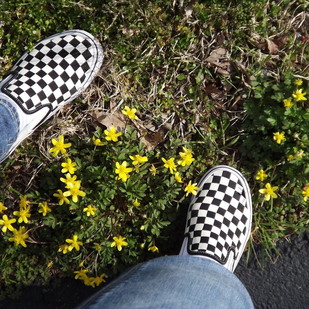 Checkered Vans Slip-Ons